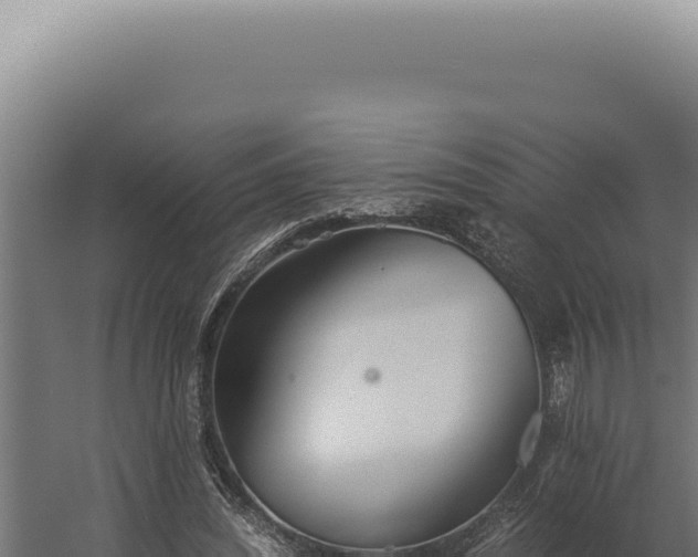 X0000060260444200511041353