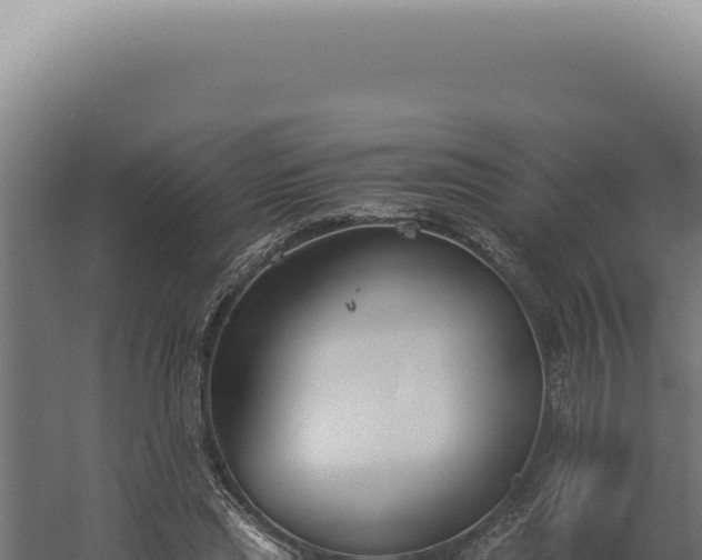 X0000060260445200511041353