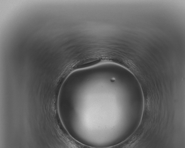 X0000060260449200511041353