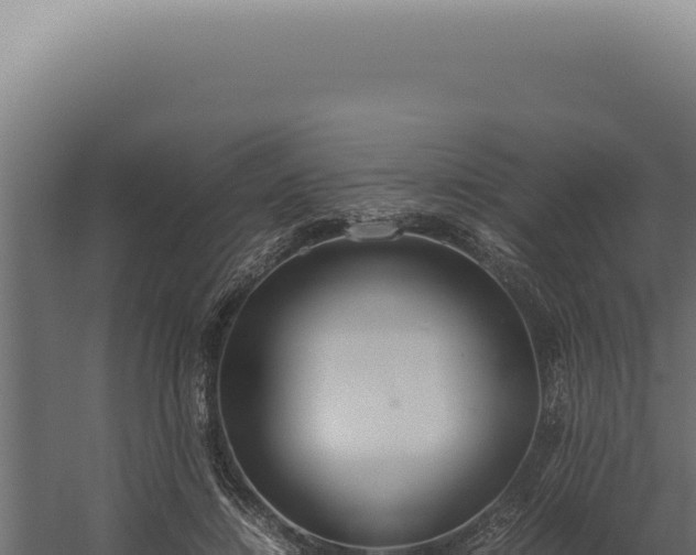 X0000060260452200511041353