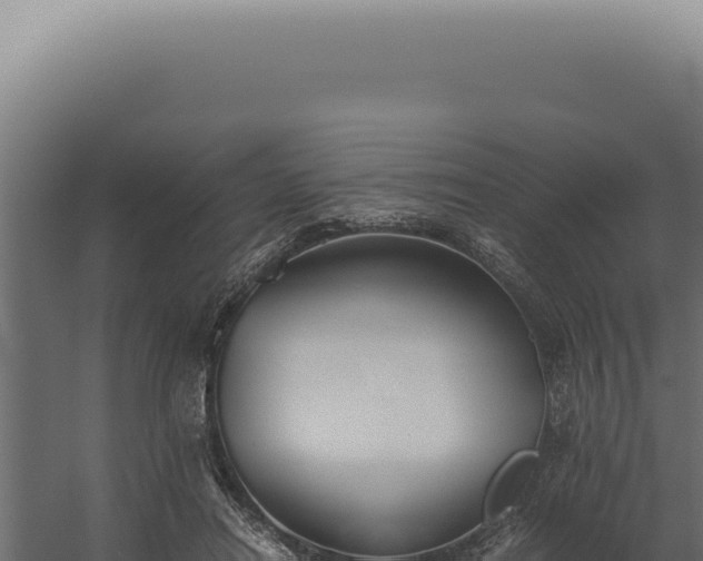 X0000060260454200511041353