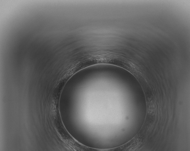 X0000060260456200511041353