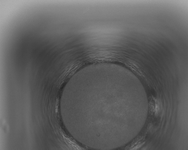 X0000060260458200511041353