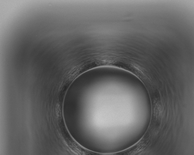 X0000060260459200511041354