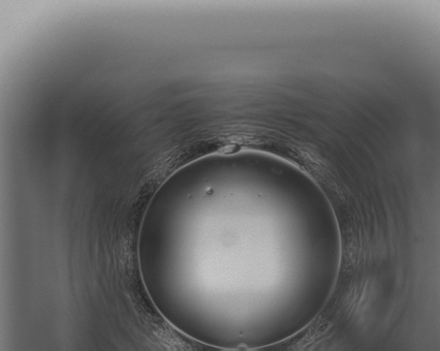 X0000060260461200511041354