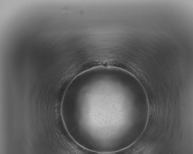 X0000060260462200511041354