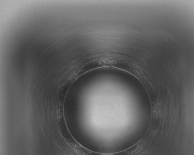 X0000060260464200511041354