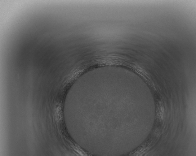 X0000060260465200511041354