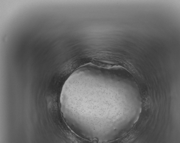 X0000060260466200511041354