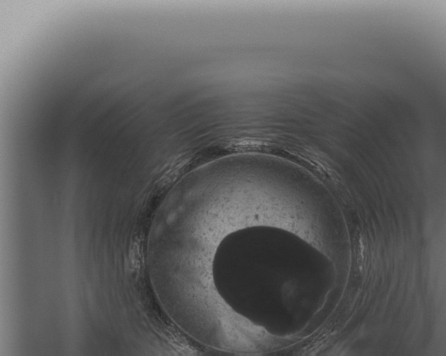 X0000060260467200511041354