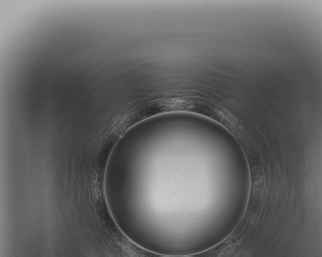 X0000060260469200511041354