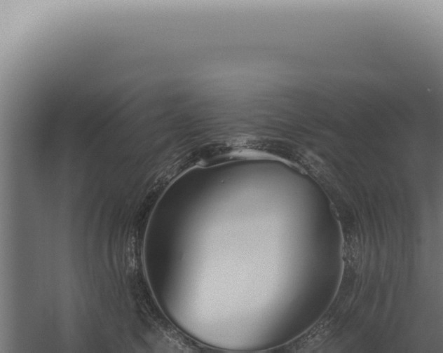 X0000060260470200511041354