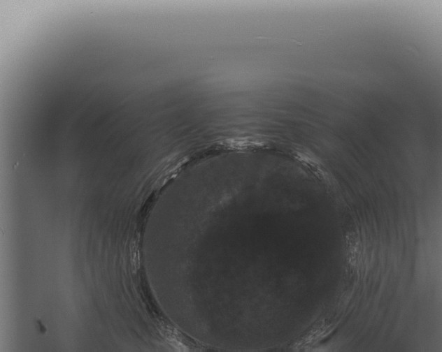 X0000060260471200511041354