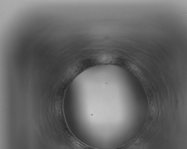 X0000060260473200511041354