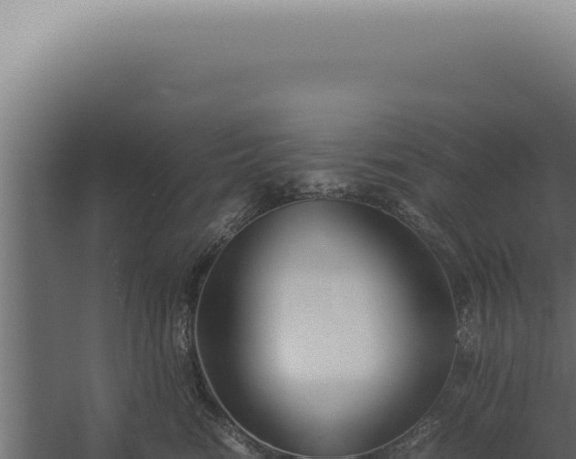 X0000060260474200511041354