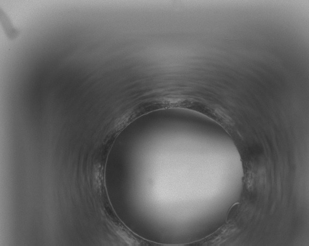 X0000060260476200511041354