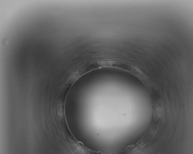 X0000060260477200511041354