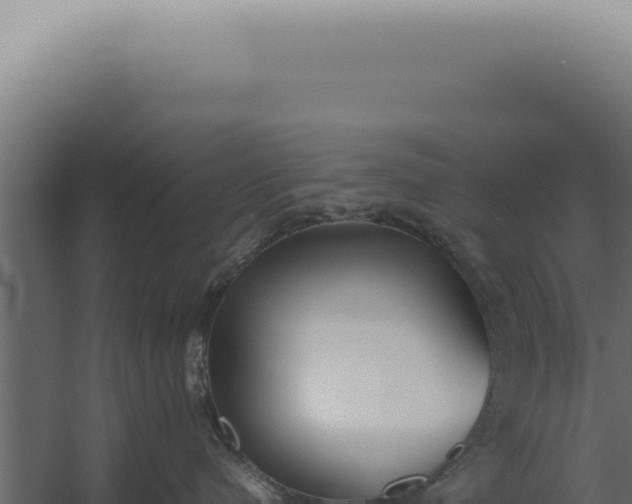 X0000060260480200511041354