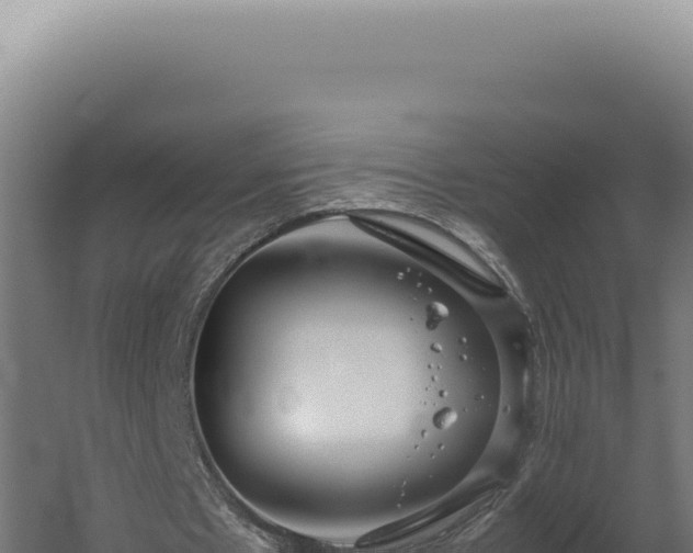 X0000060260481200511041353