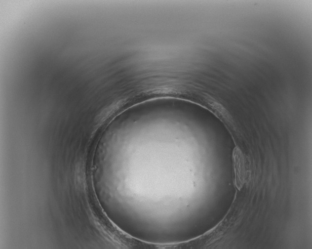 X0000060260482200511041353