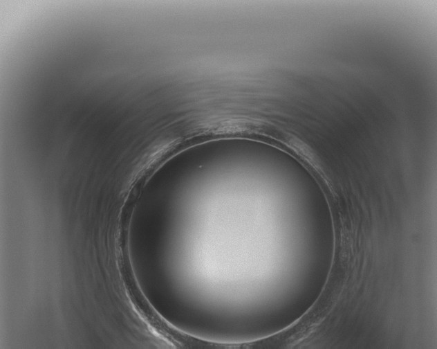 X0000060260485200511041353