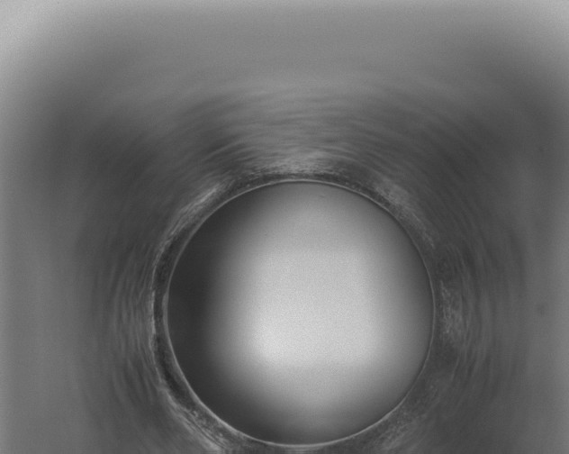 X0000060260486200511041353