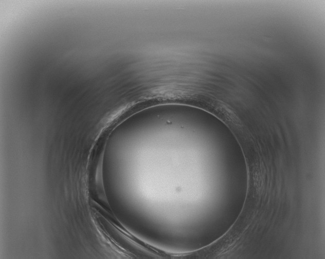 X0000060260488200511041353