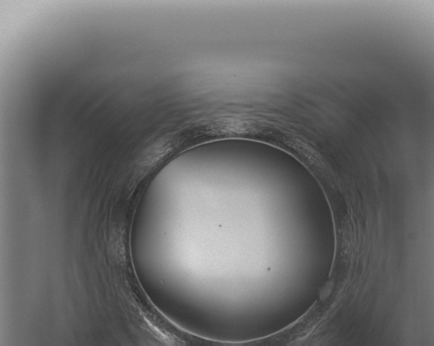 X0000060260489200511041353