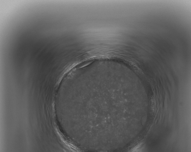 X0000060260491200511041353