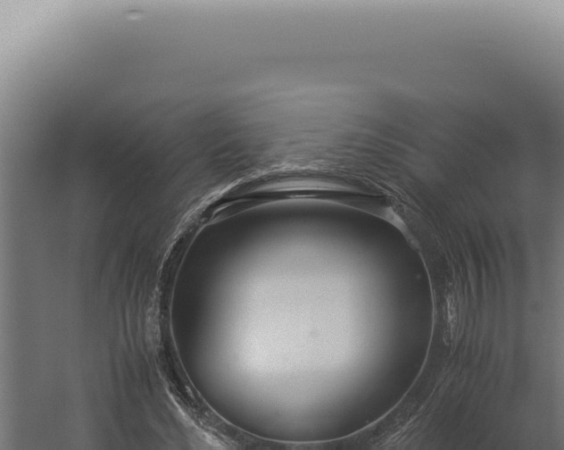 X0000060260492200511041353