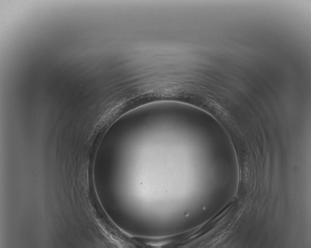 X0000060260493200511041353