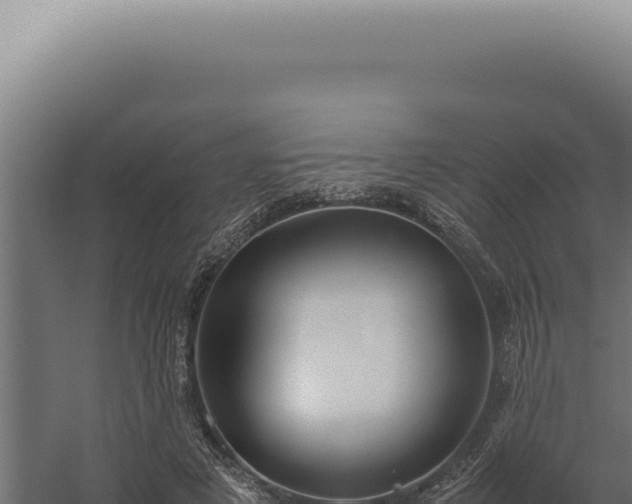 X0000060260497200511041353