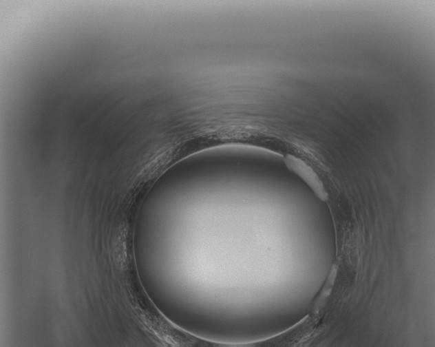 X0000060260501200511041353