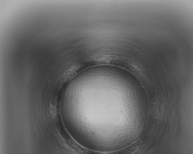 X0000060260504200511041353