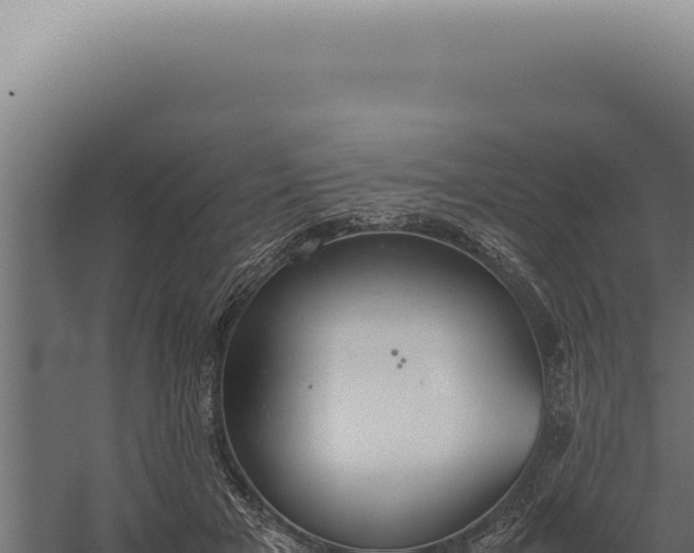 X0000060260505200511041353