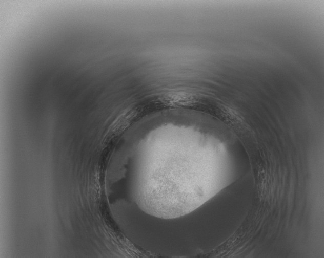 X0000060260506200511041353