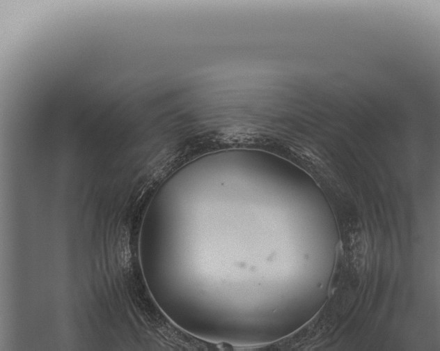 X0000060260508200511041353