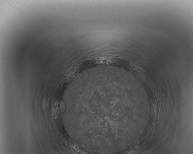 X0000060260511200511041353