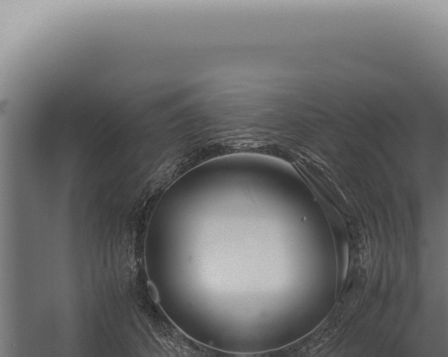 X0000060260512200511041353