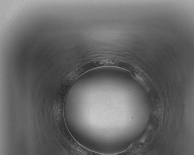 X0000060260513200511041353