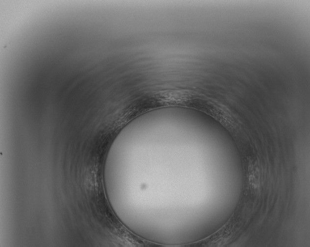 X0000060260514200511041353