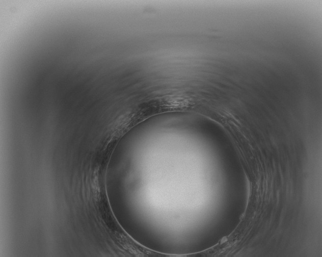 X0000060260516200511041352