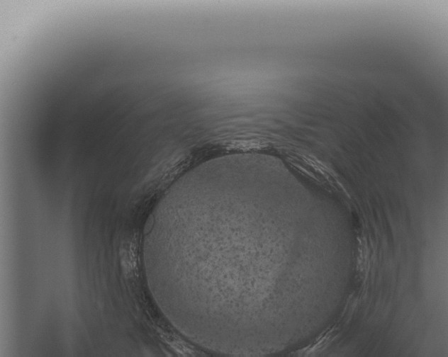 X0000060260517200511041352