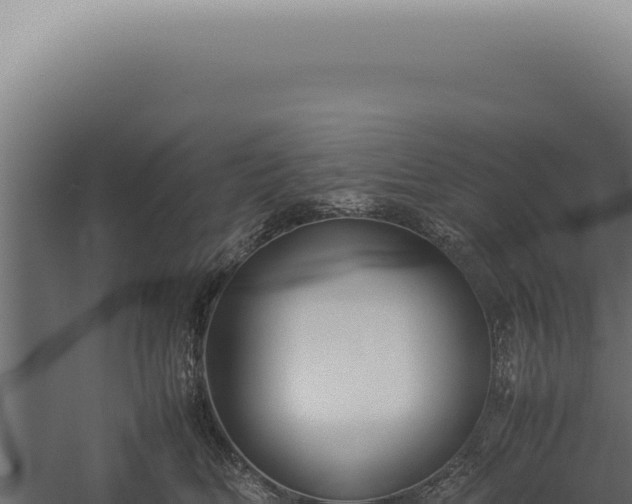 X0000060260518200511041352