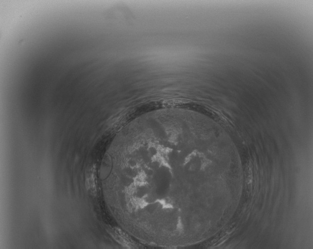 X0000060260519200511041352