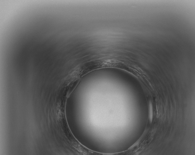 X0000060260520200511041352