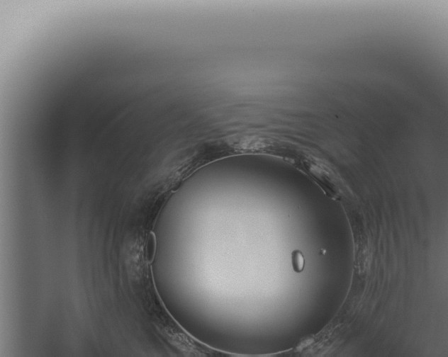 X0000060260521200511041352