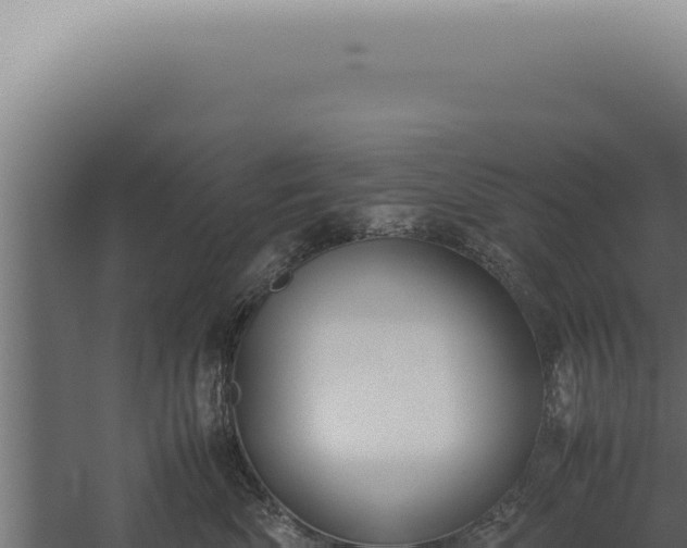 X0000060260522200511041352