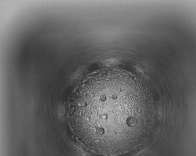 X0000060260523200511041352