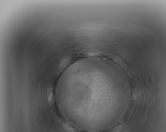 X0000060260524200511041352